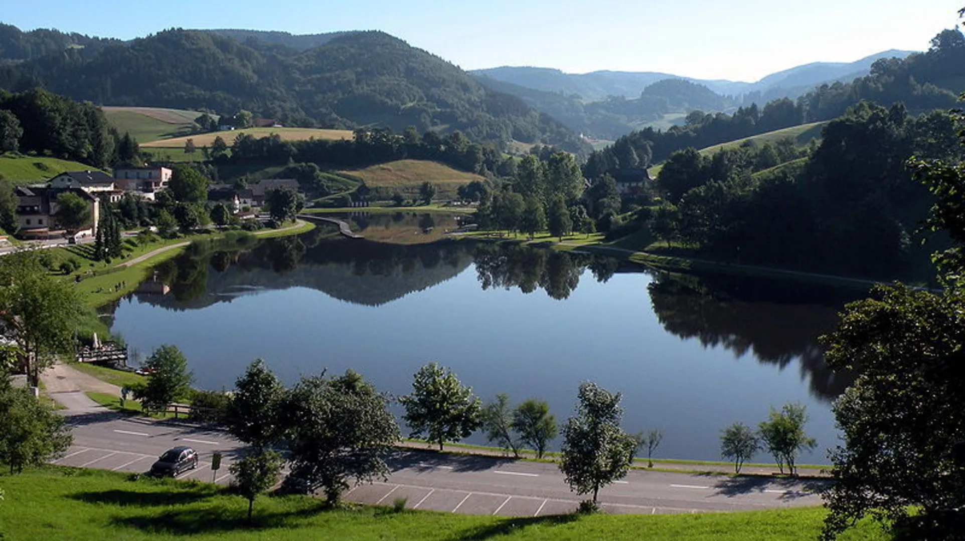 An image depicting the trail Zwickelgraben Loop and its surrounding area.