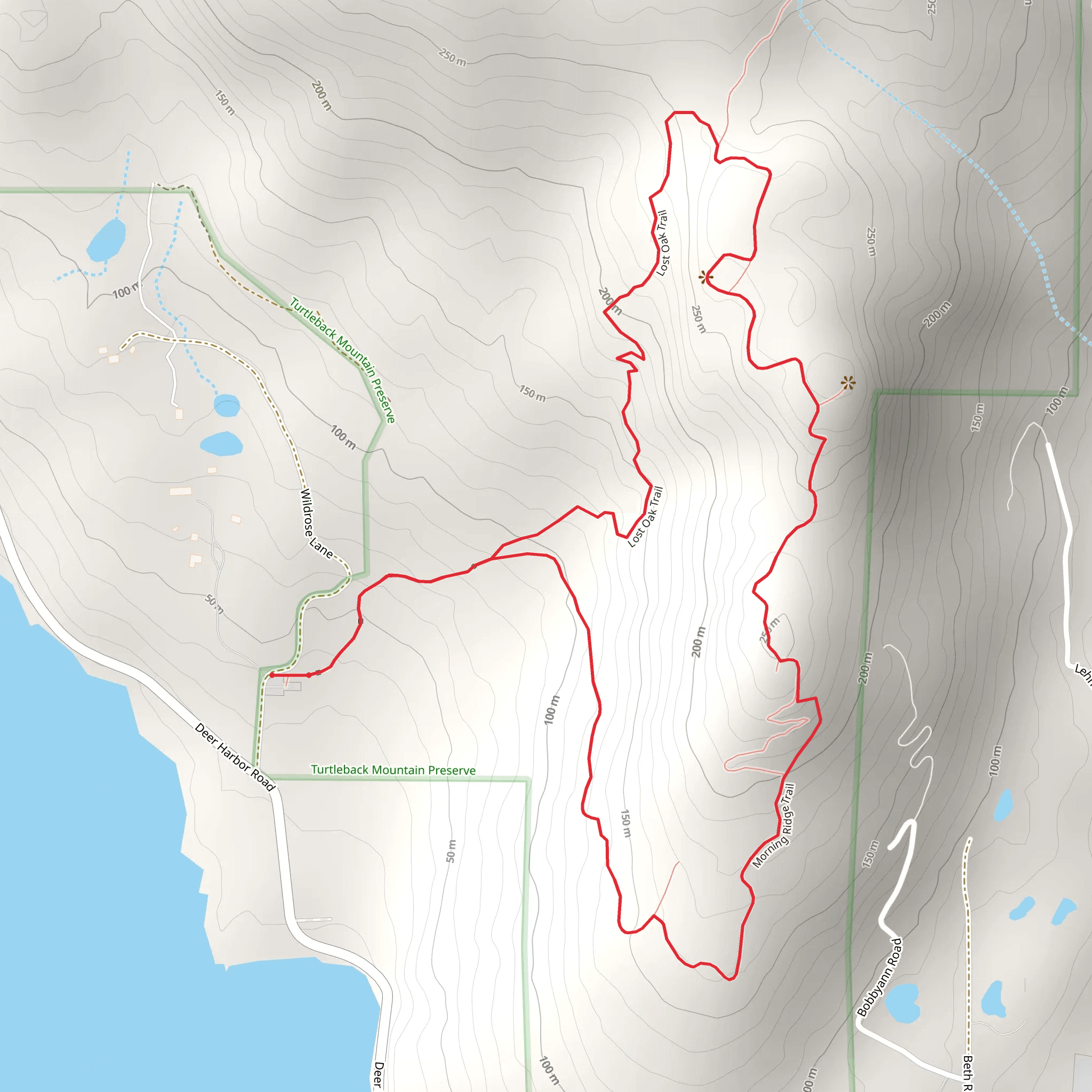 Morning Ridge Trail and Lost Oak Trail mobile static map