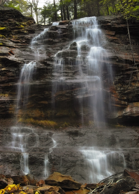 Falls Creek from Schrader Creek Road