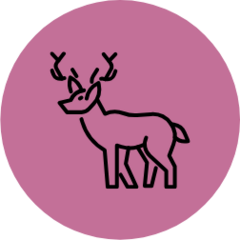 Kevin Recchia avatar