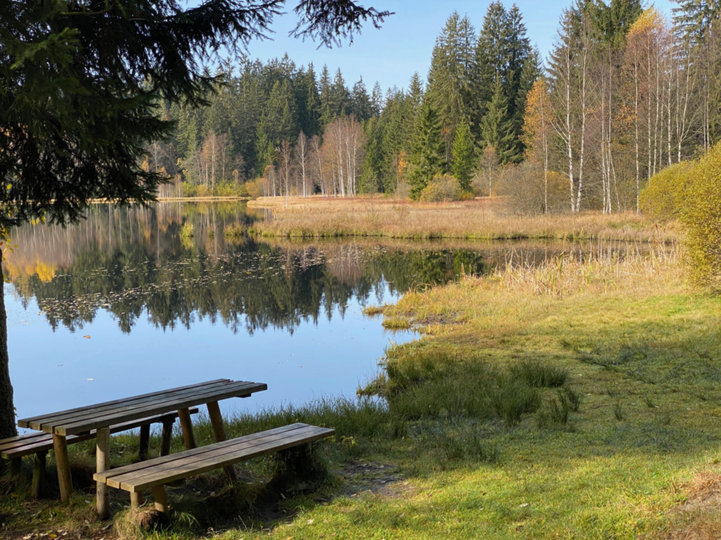 An image depicting the trail Rosenhof Ponds Loop and its surrounding area.