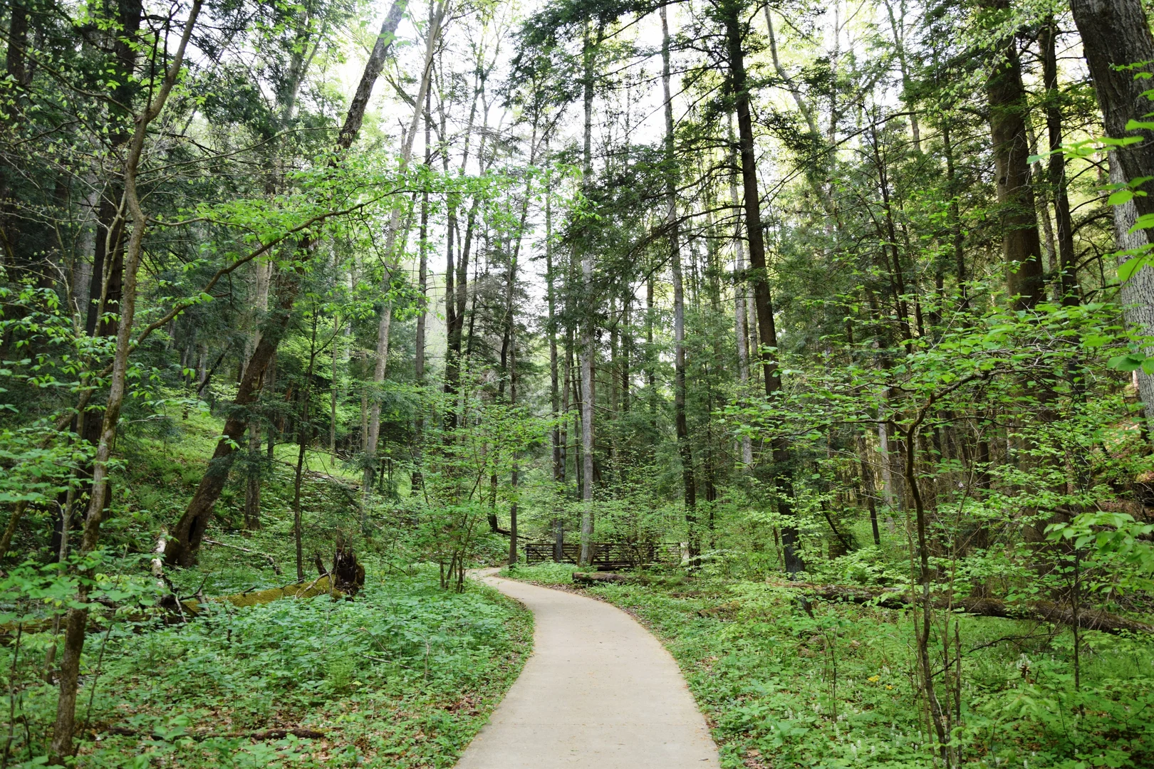An image depicting the trail North Country Trail - Ohio and its surrounding area.