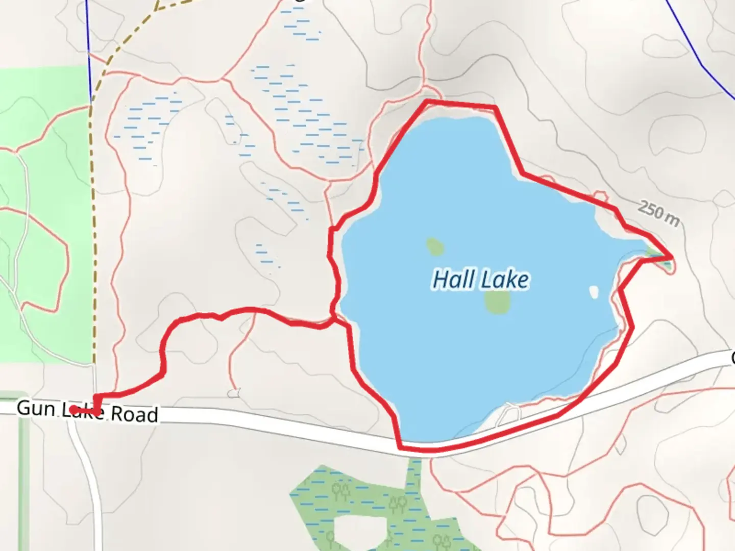 An image depicting the trail Hall Lake Loop via North Country Trail and its surrounding area.
