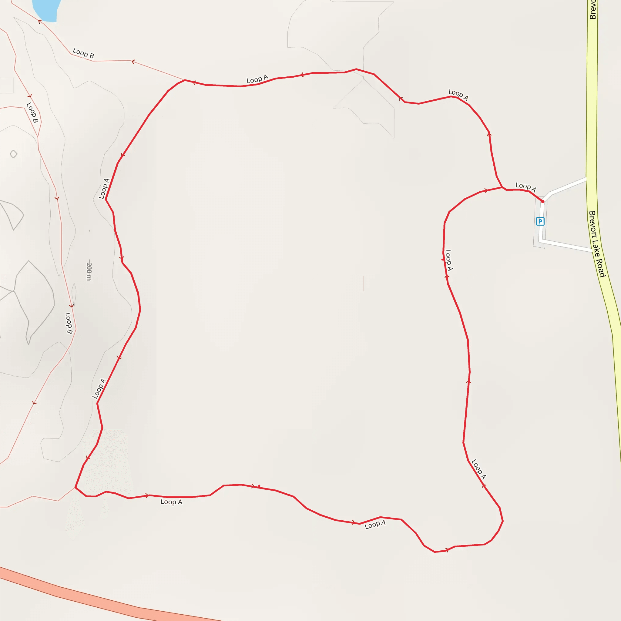 Loop A - Brevort Lake Road mobile static map