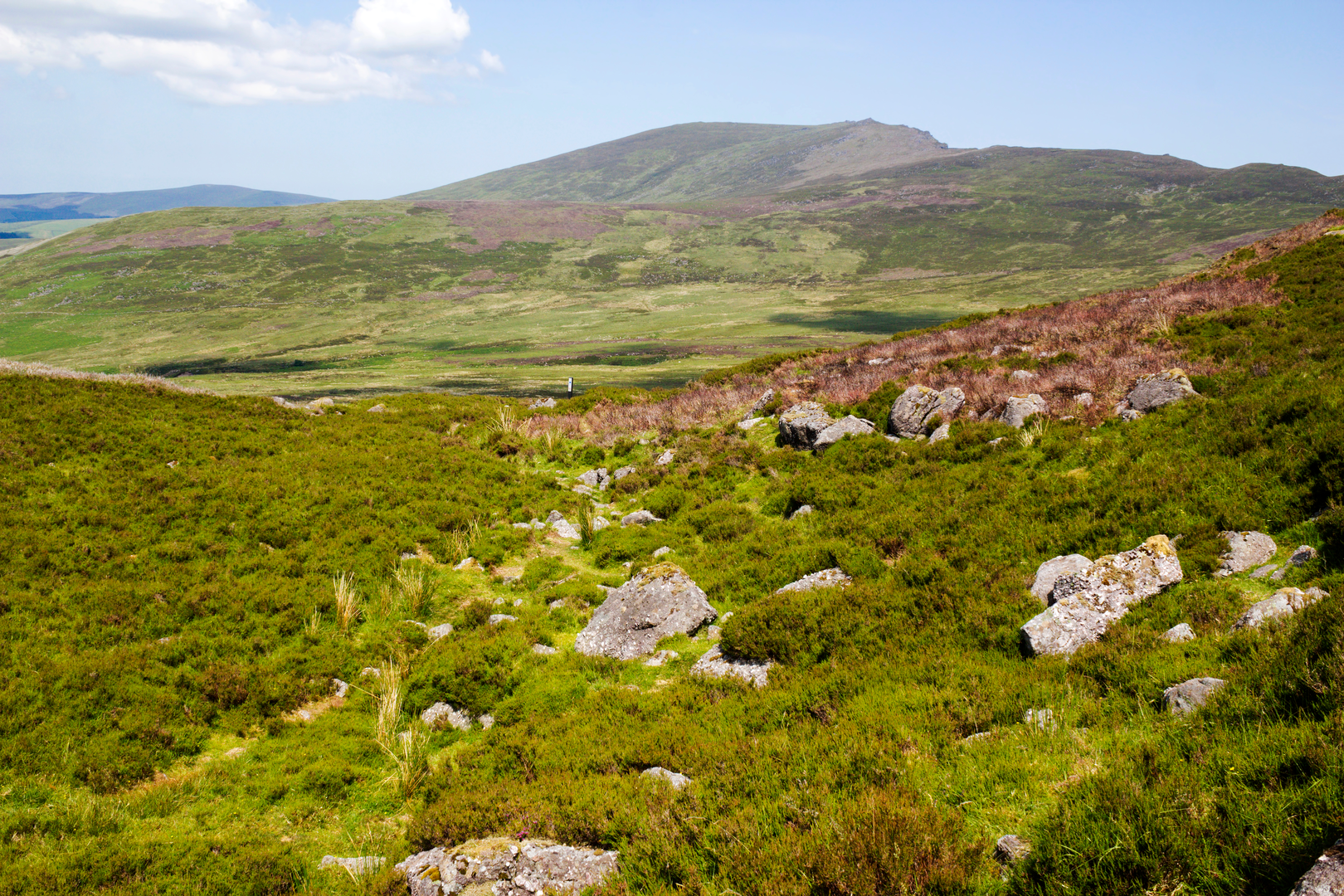 An image depicting the trail Nire Valley Trails - Coumduala Loop and its surrounding area.
