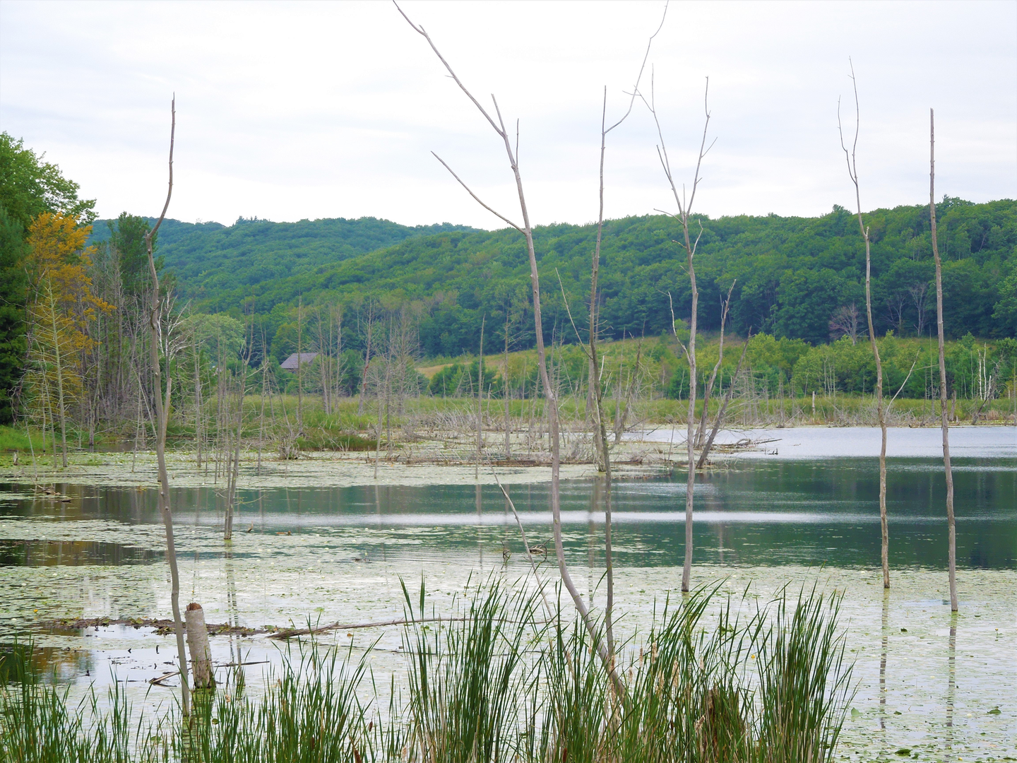 An image depicting the trail High Country Pathway and its surrounding area.