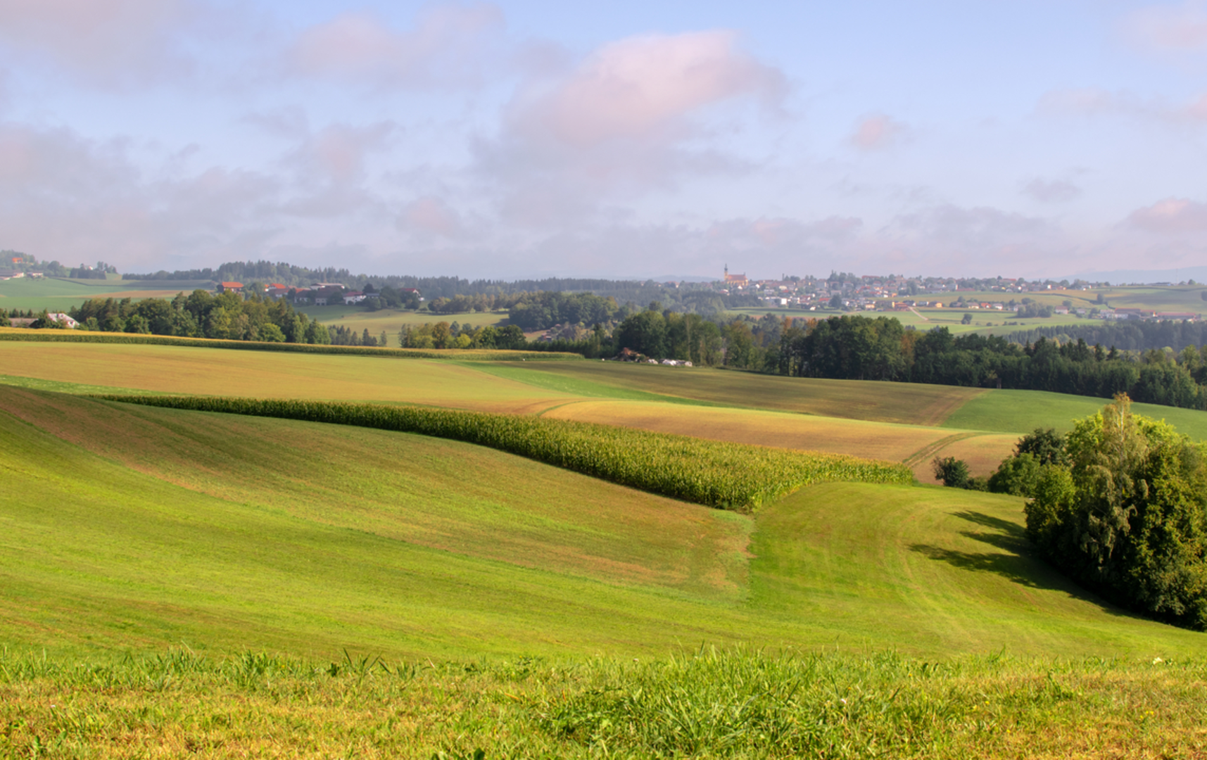 An image depicting the trail Kirchberg ob der Donau Loop and its surrounding area.