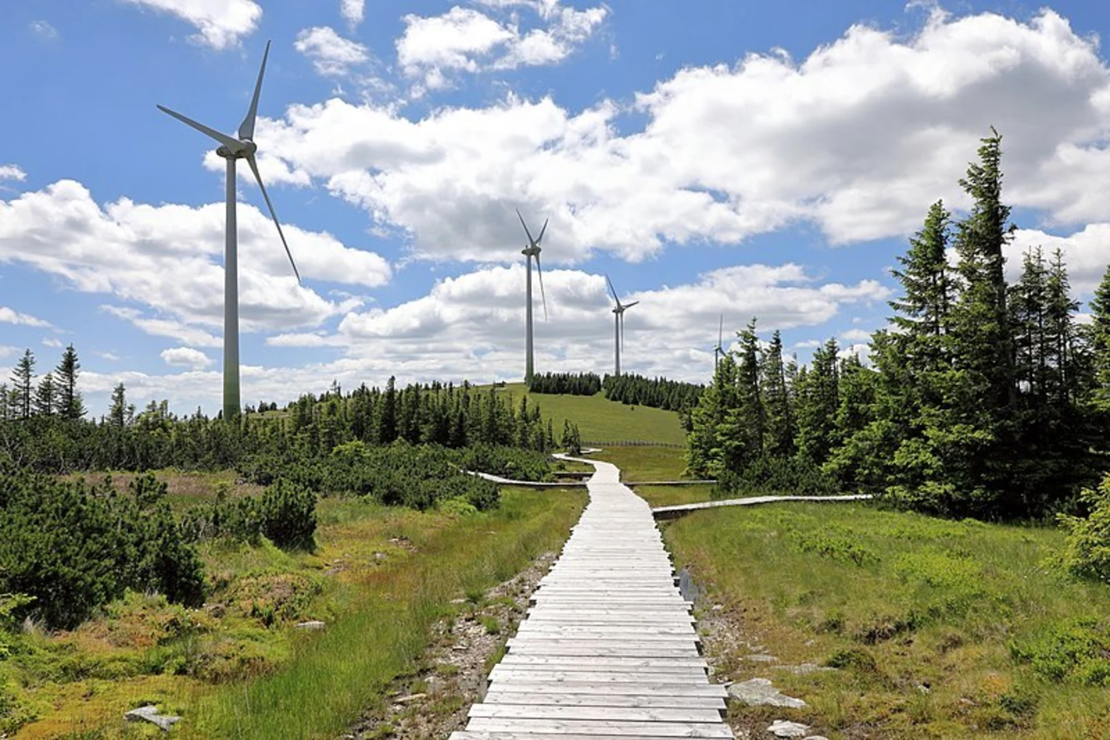An image depicting the trail Peter Rosegger - On the Planet Trail and its surrounding area.