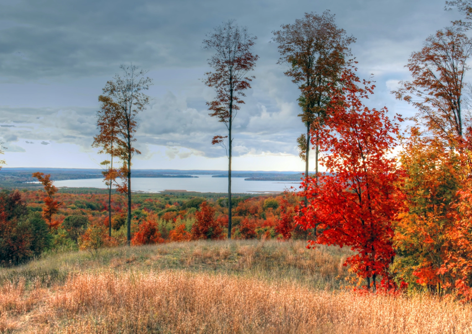 An image depicting the trail Lake Skegemog Trail and its surrounding area.