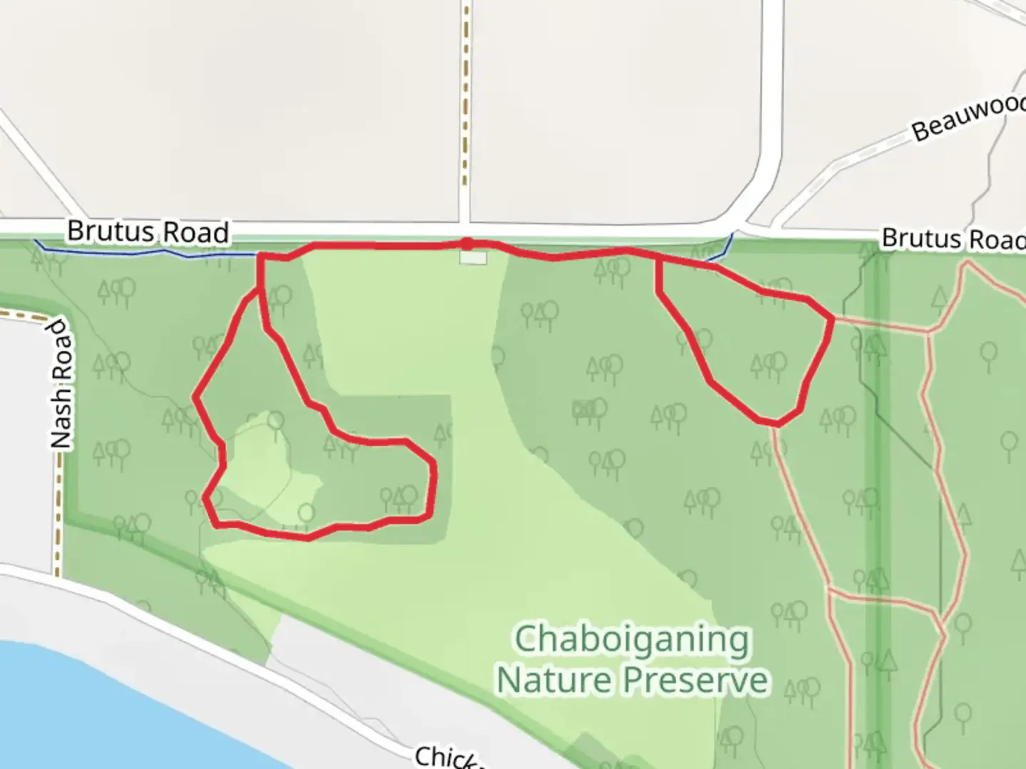 An image depicting the trail Brutus Road Loop and its surrounding area.