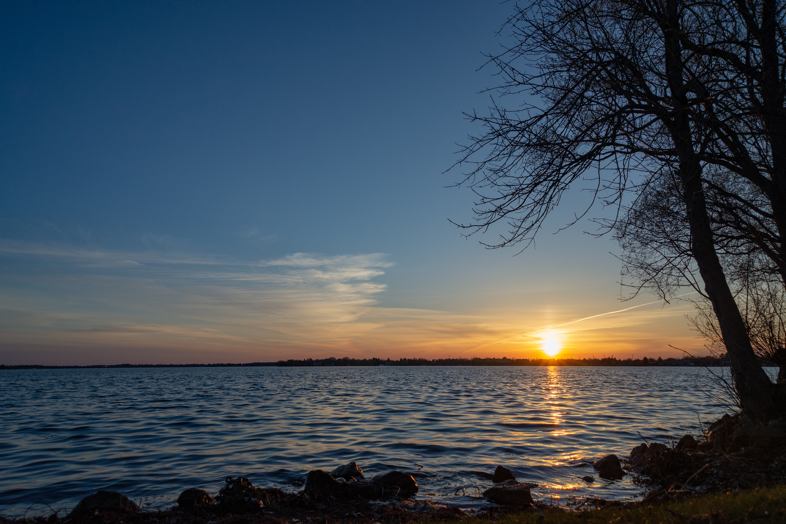 An image depicting the trail White Pine Trail and its surrounding area.