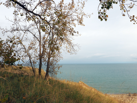 Sand Lakes Quiet Area