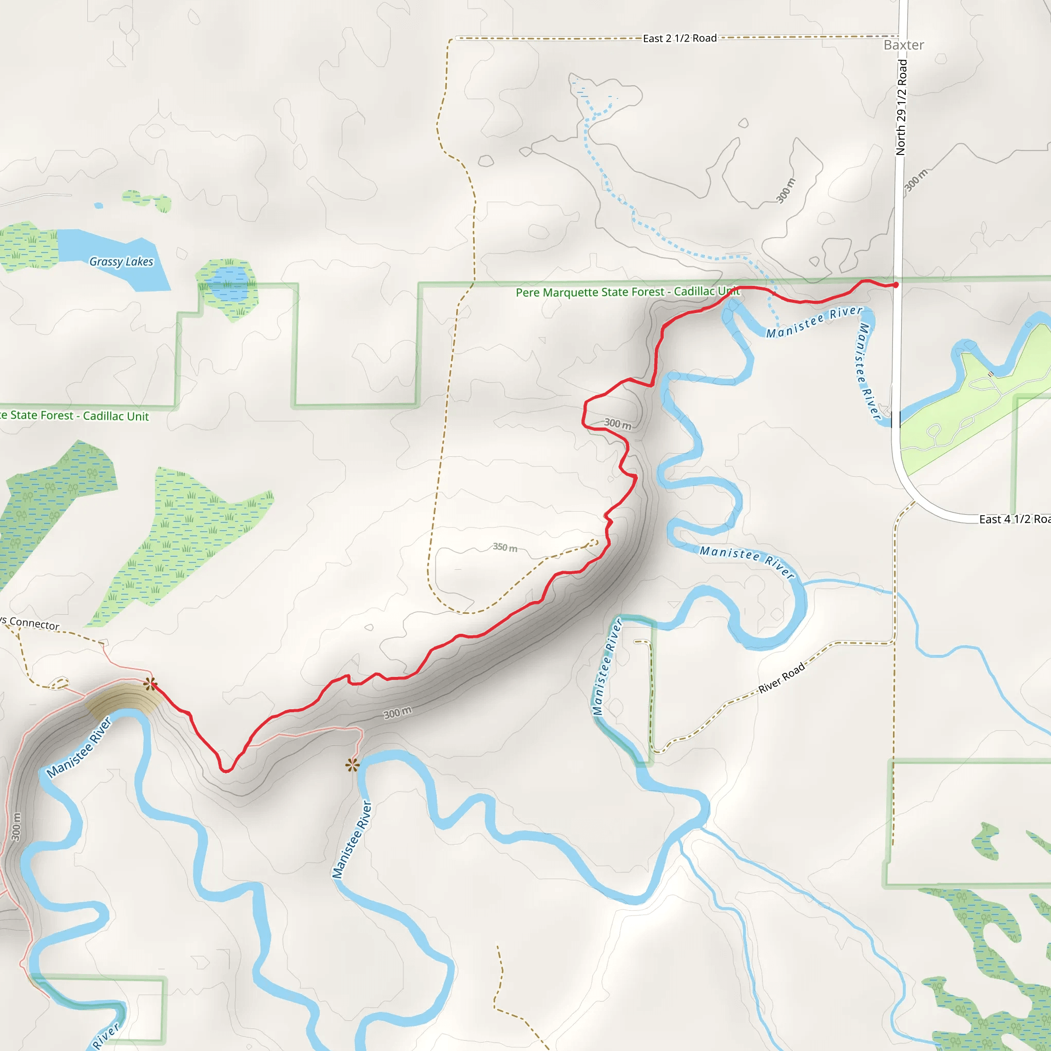 NCT - Manistee River mobile static map