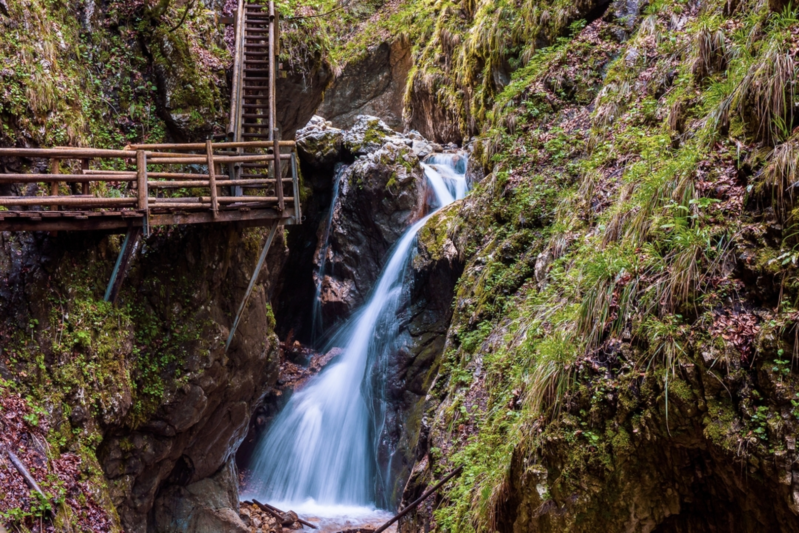 An image depicting the trail Dr Vogelgesang Gorge and its surrounding area.