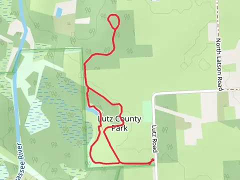 Lutz County Park Loop