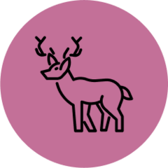 Pierre Volkman avatar