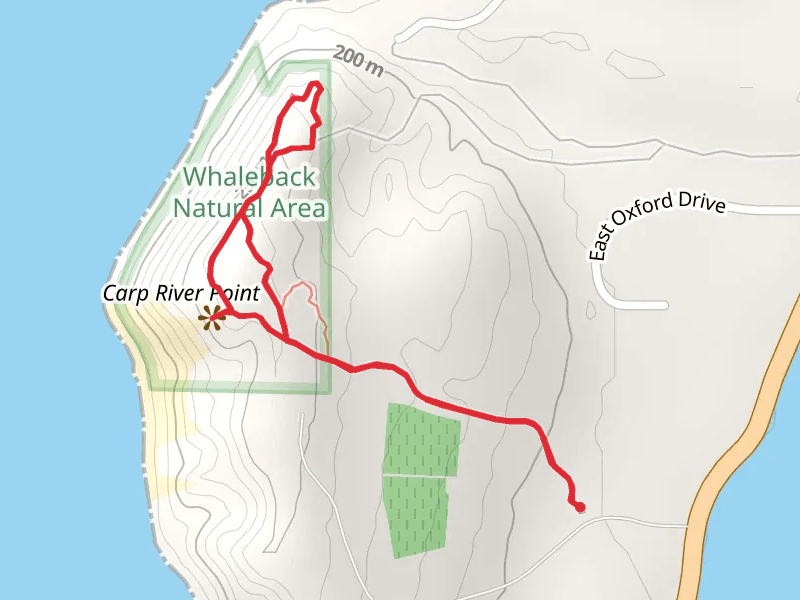 Glacial Hill, Birch Valley and Manitout Lookout Loop Trail
