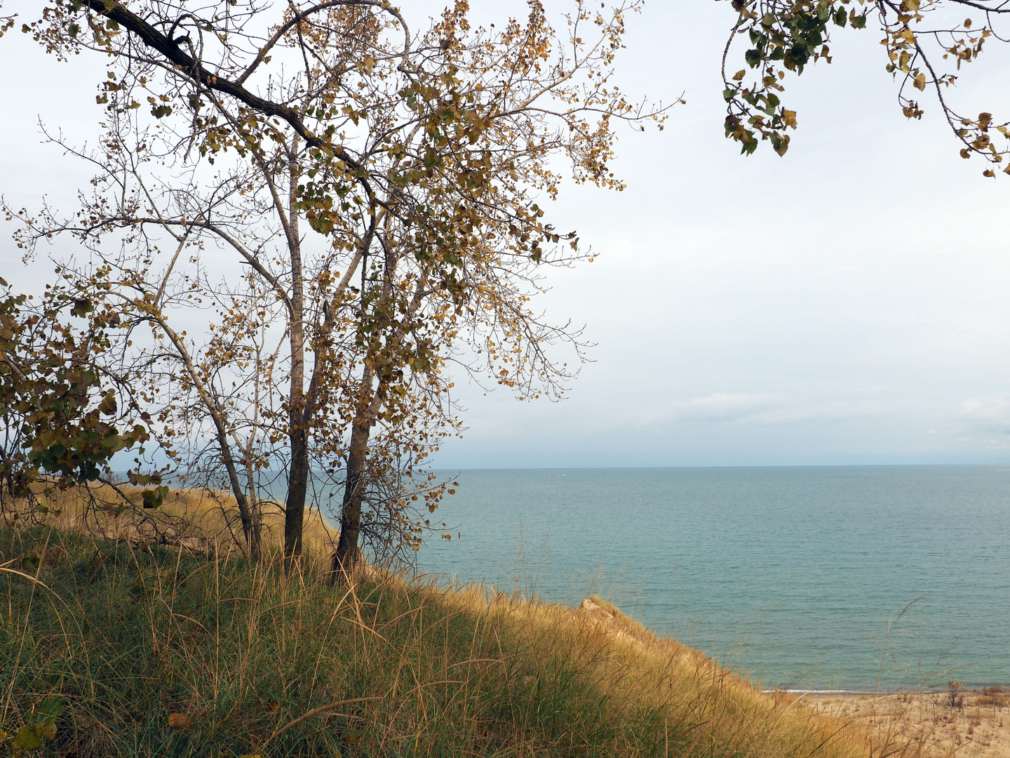An image depicting the trail Sand Lakes Quiet Area and its surrounding area.