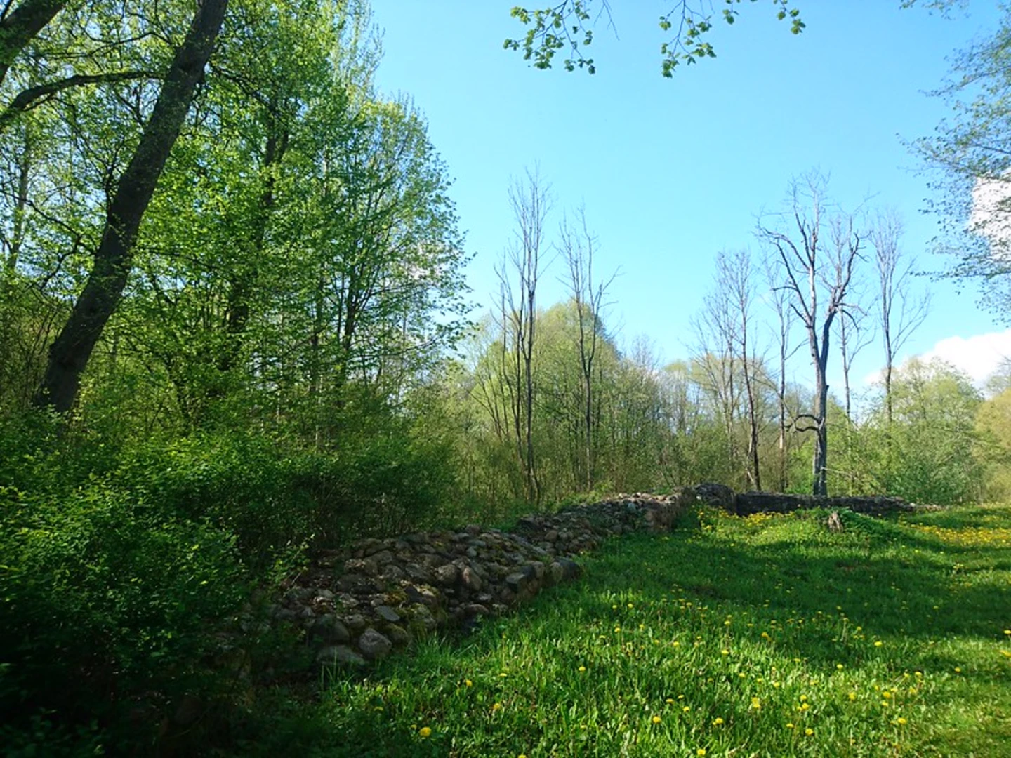 An image depicting the trail Hexenberg, Fichtenhof and Hirzweiler Loop and its surrounding area.