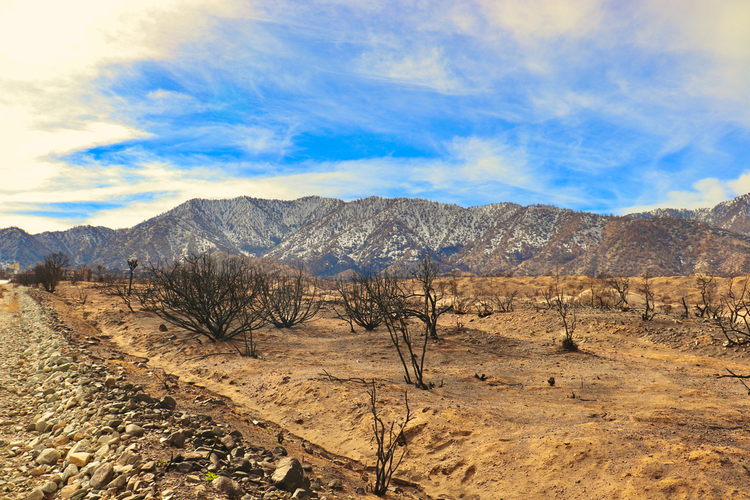 Devil's Punchbowl via Doe Flat Trail