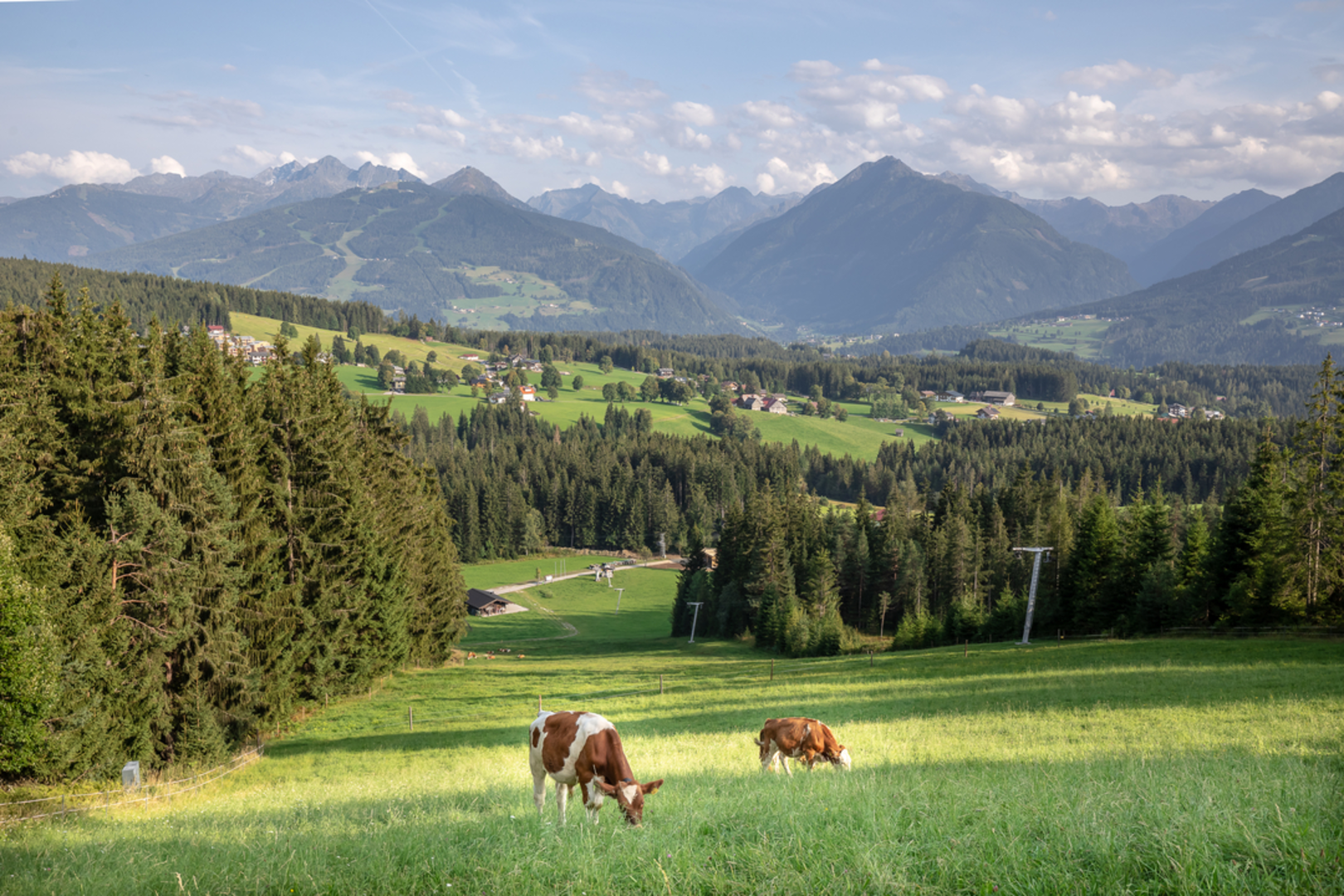 An image depicting the trail Rittisberg Barefoot Trail and its surrounding area.