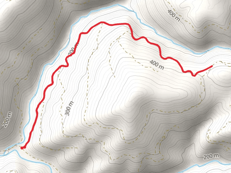 Bummer Lake Road Trail