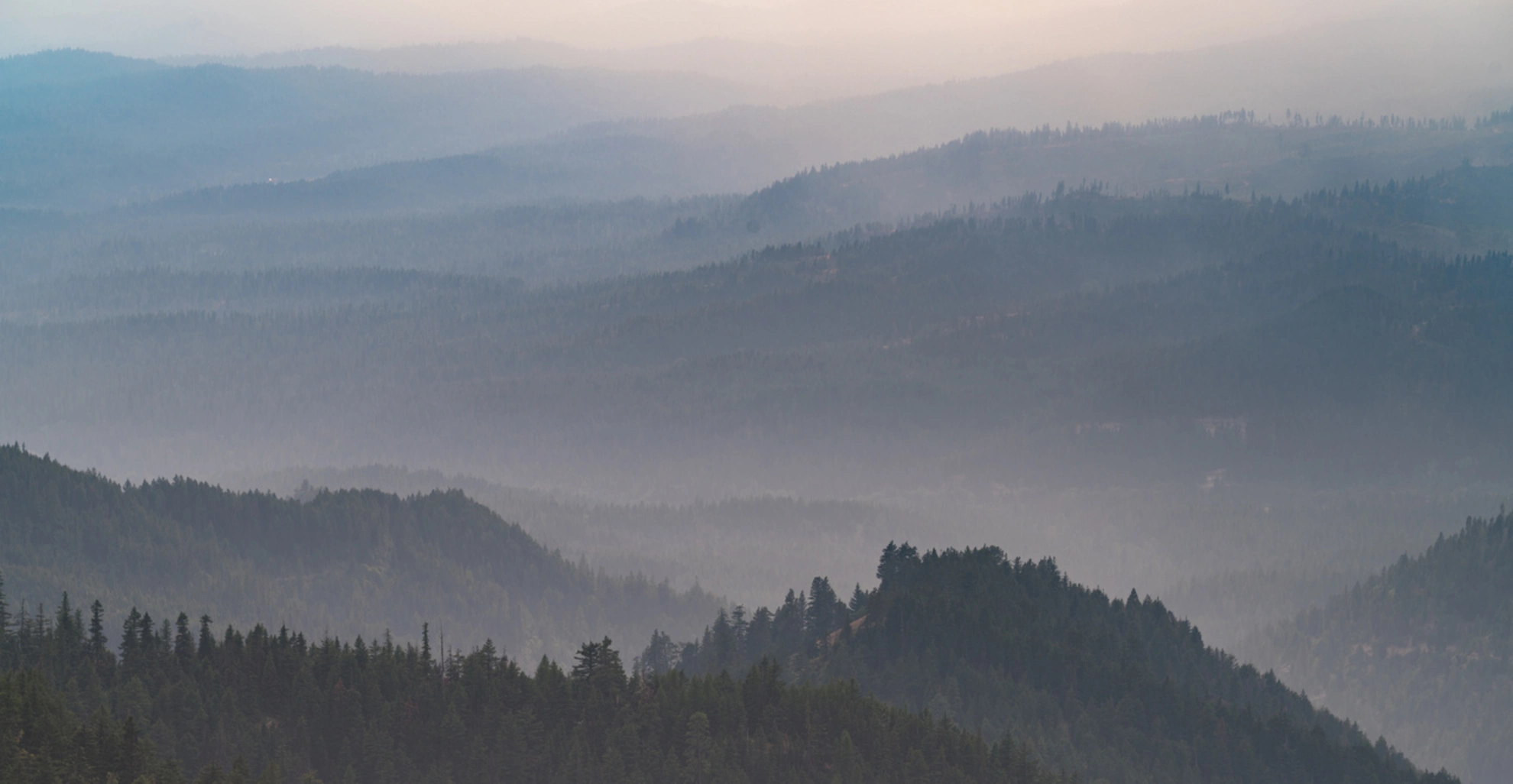 An image depicting the trail Teanaway Ridge Trail and its surrounding area.