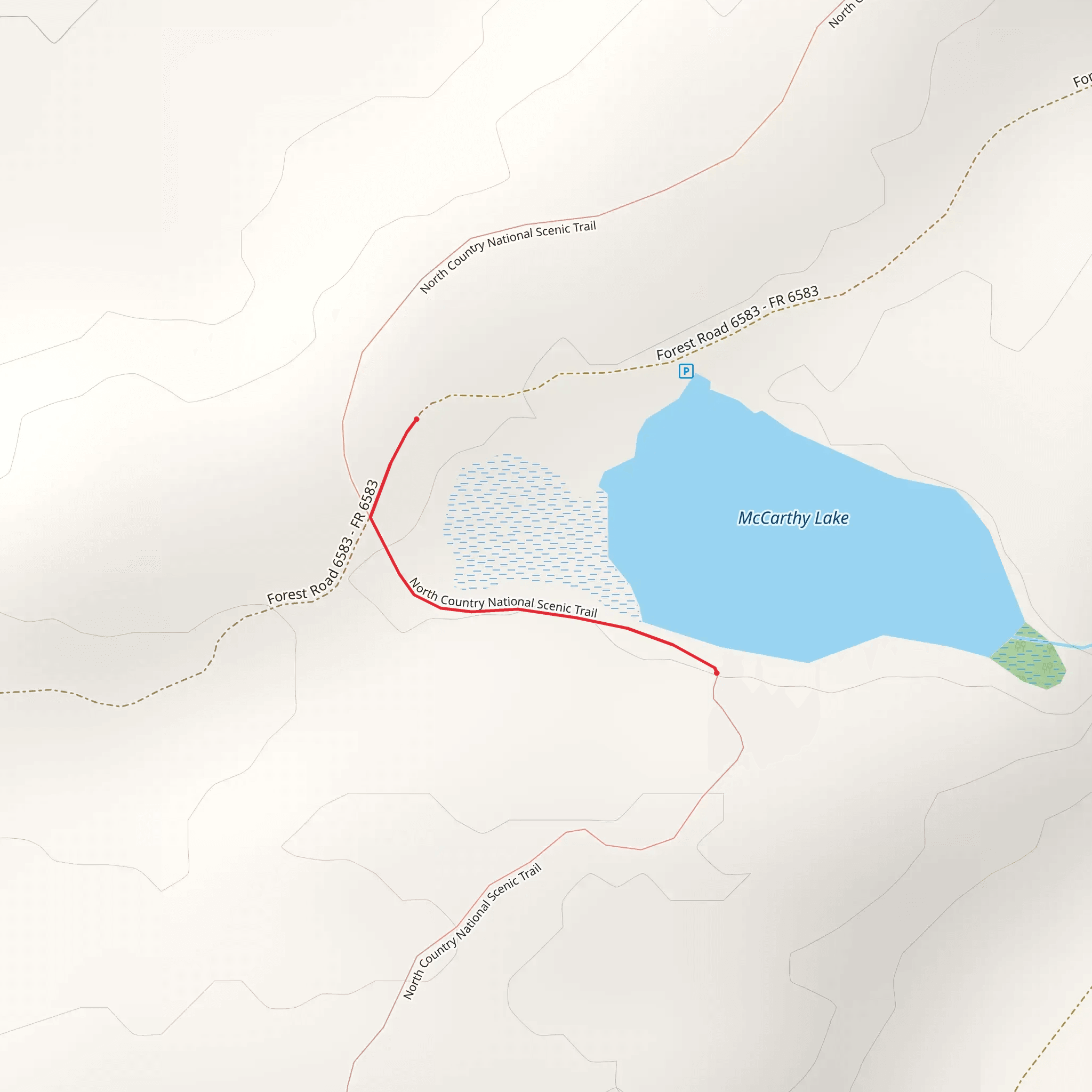 McCarthy Lake from NFS 6583 mobile static map