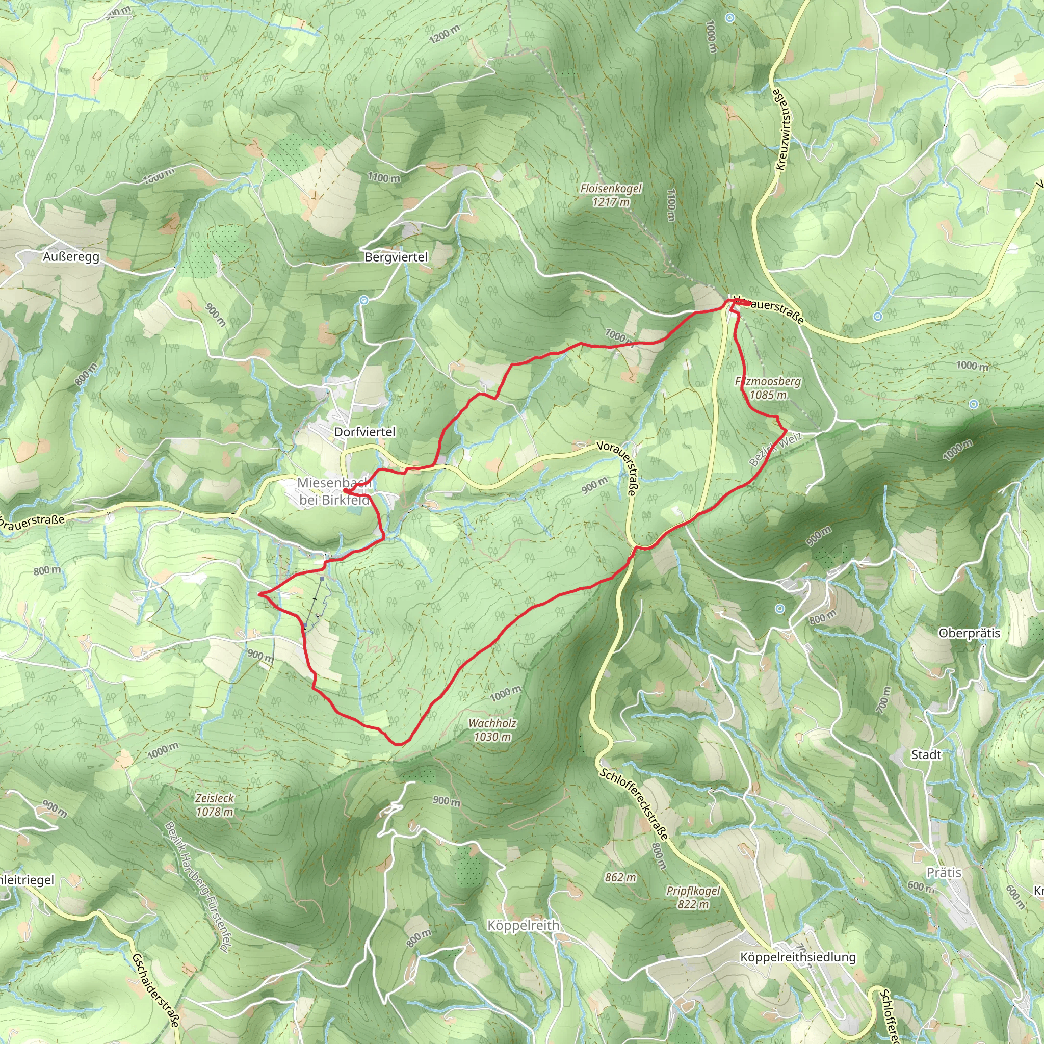 Miesenbach - Schloffereck Loop mobile static map