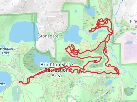 Murray Lake - Lost Loop