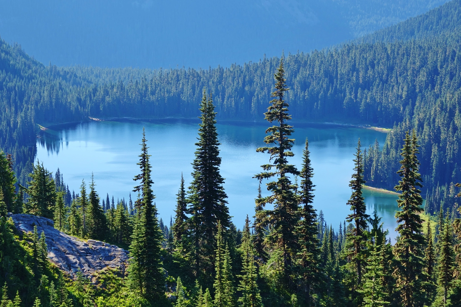 An image depicting the trail Chinook Pass Loop and its surrounding area.