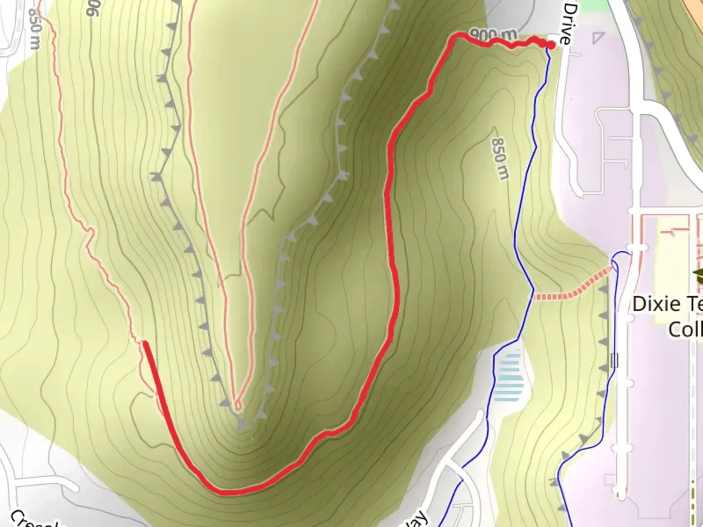 An image depicting the trail Temple Quarry Trail and its surrounding area.