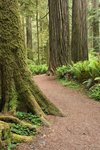 Ellsworth Loop Trail