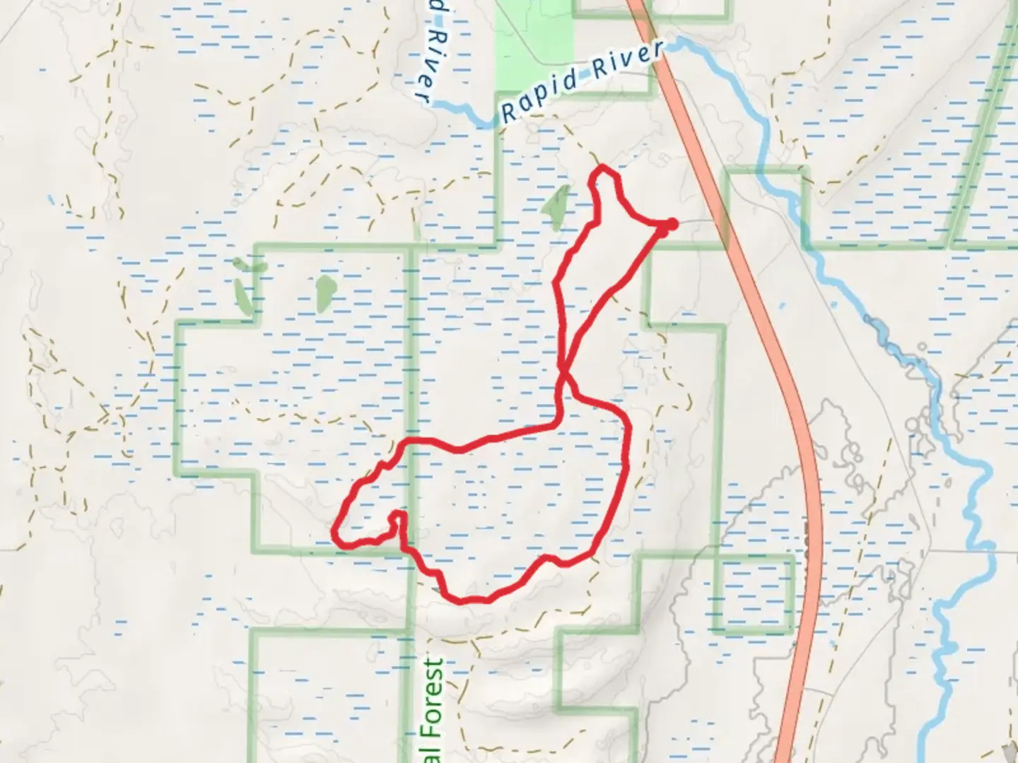 An image depicting the trail Rapid River Loop Walk and its surrounding area.