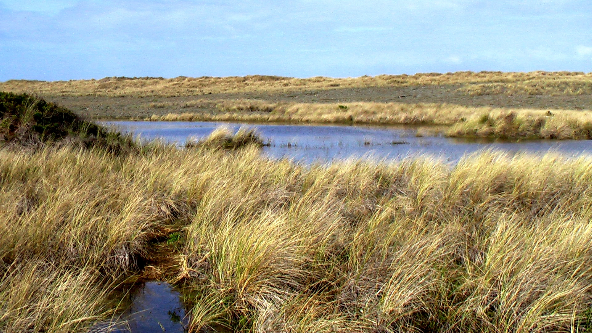 An image depicting the trail Lake Talawa West Shore walk and its surrounding area.