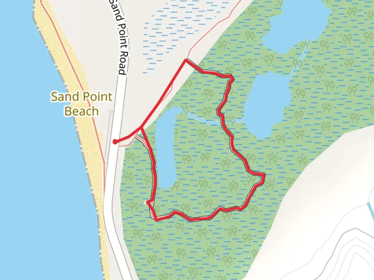 An image depicting the trail Sand Point Marsh Loop Trail and its surrounding area.