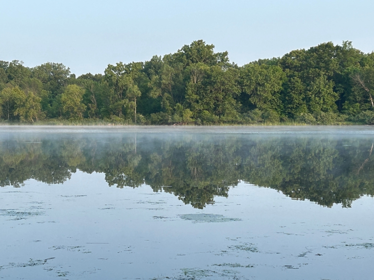 An image depicting the trail Stony Creek Lake Loop and its surrounding area.