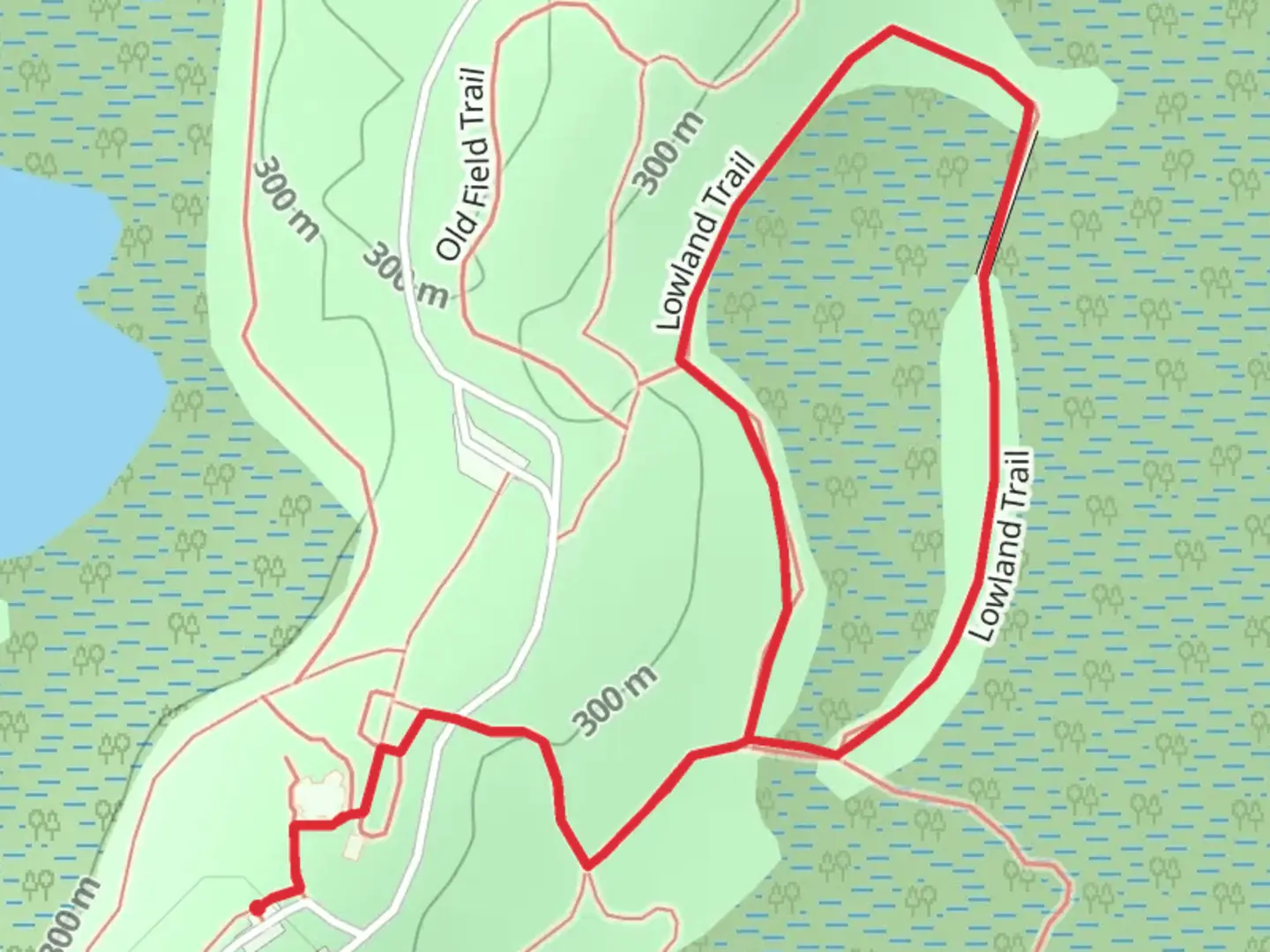 An image depicting the trail Lowland Trail and its surrounding area.