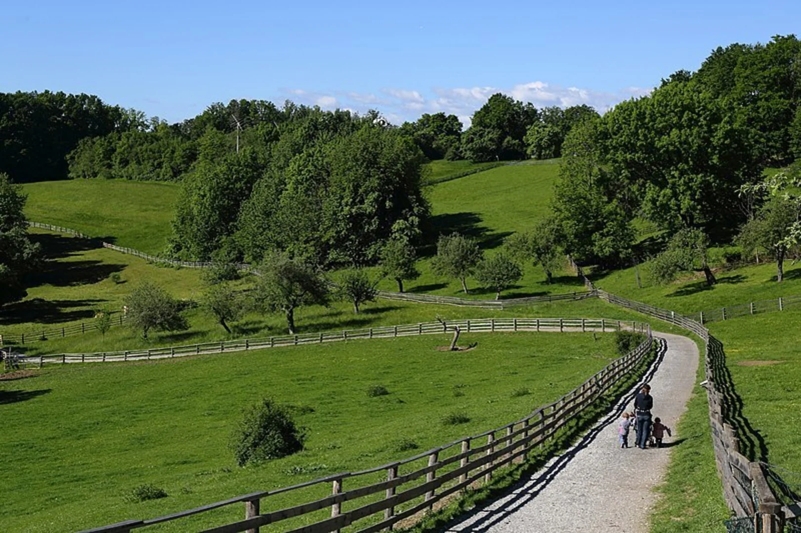 An image depicting the trail Lustbühel Walk and its surrounding area.