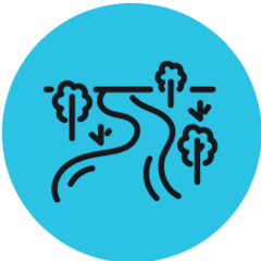 Sau Balistreri avatar