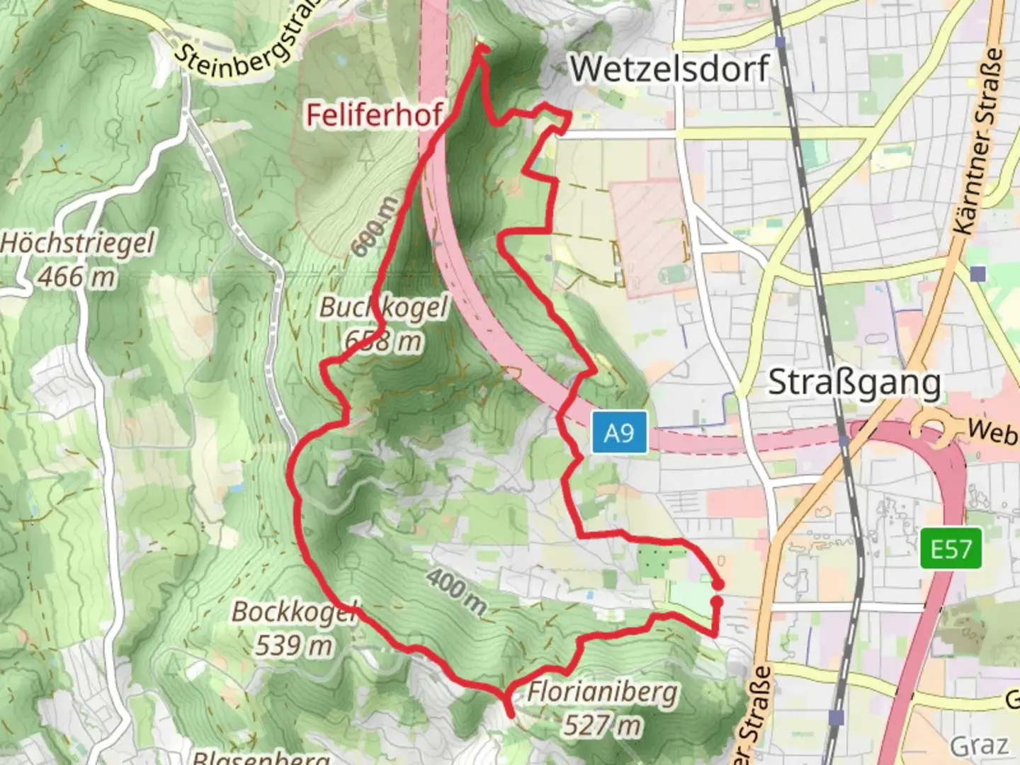 An image depicting the trail Buchkogel Loop and its surrounding area.