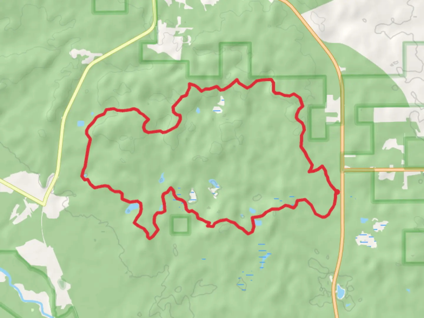 An image depicting the trail Hoist Lake Loop Trails and its surrounding area.