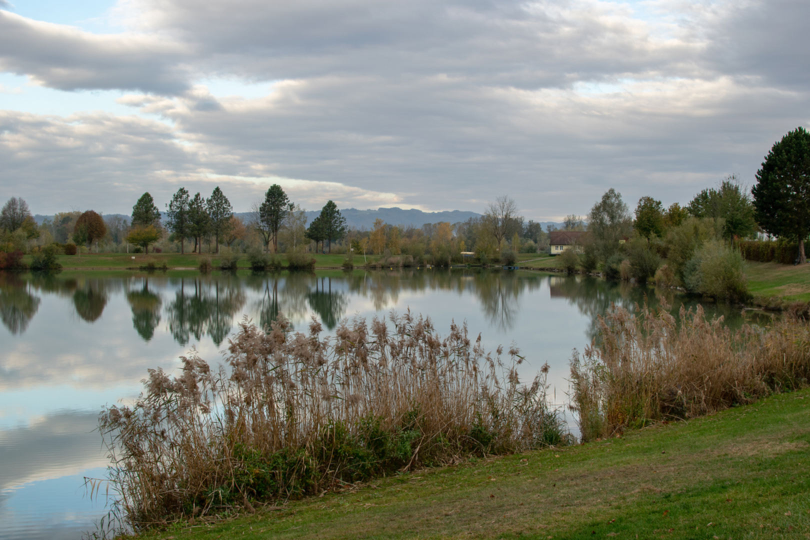 An image depicting the trail Feldkirchen Castle Loop Trail and its surrounding area.
