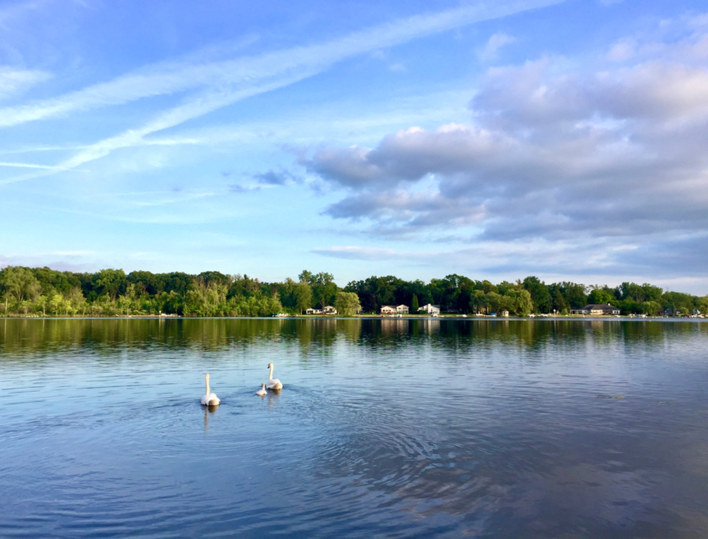 An image depicting the trail South Gate Trail and its surrounding area.