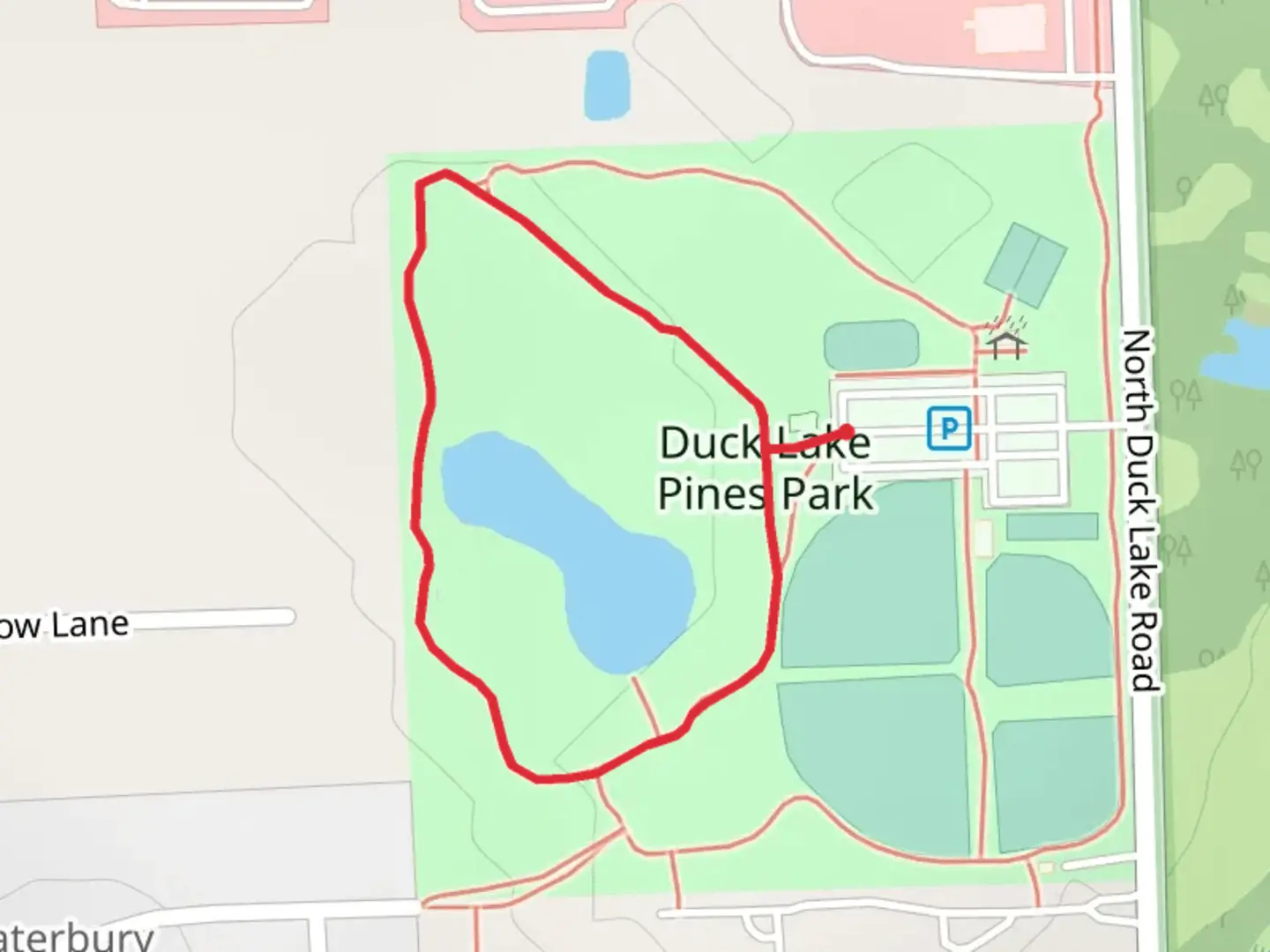 An image depicting the trail Duck Lake Pines Park Loop and its surrounding area.
