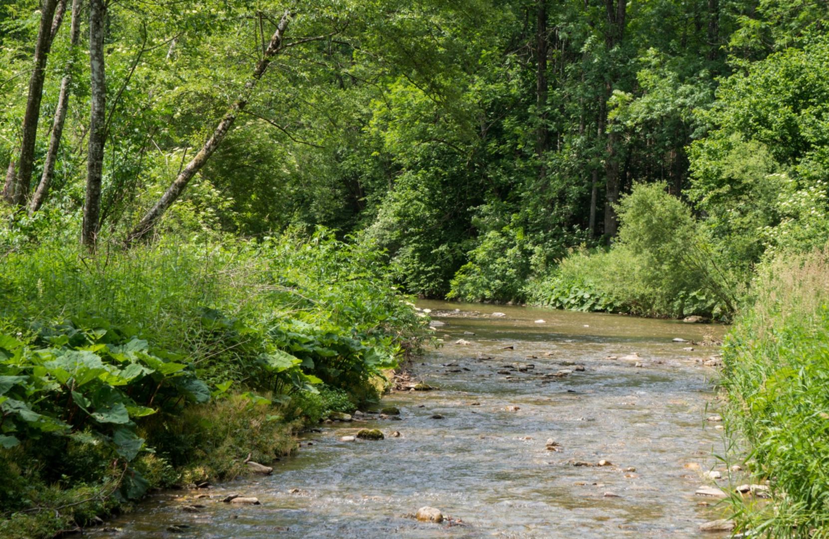 An image depicting the trail Great Raabklamm Gorge Trail and its surrounding area.