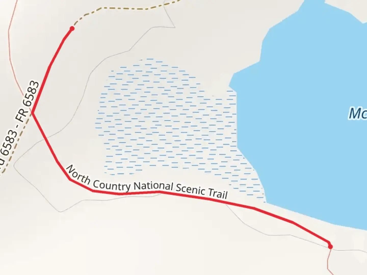 An image depicting the trail McCarthy Lake from NFS 6583 and its surrounding area.