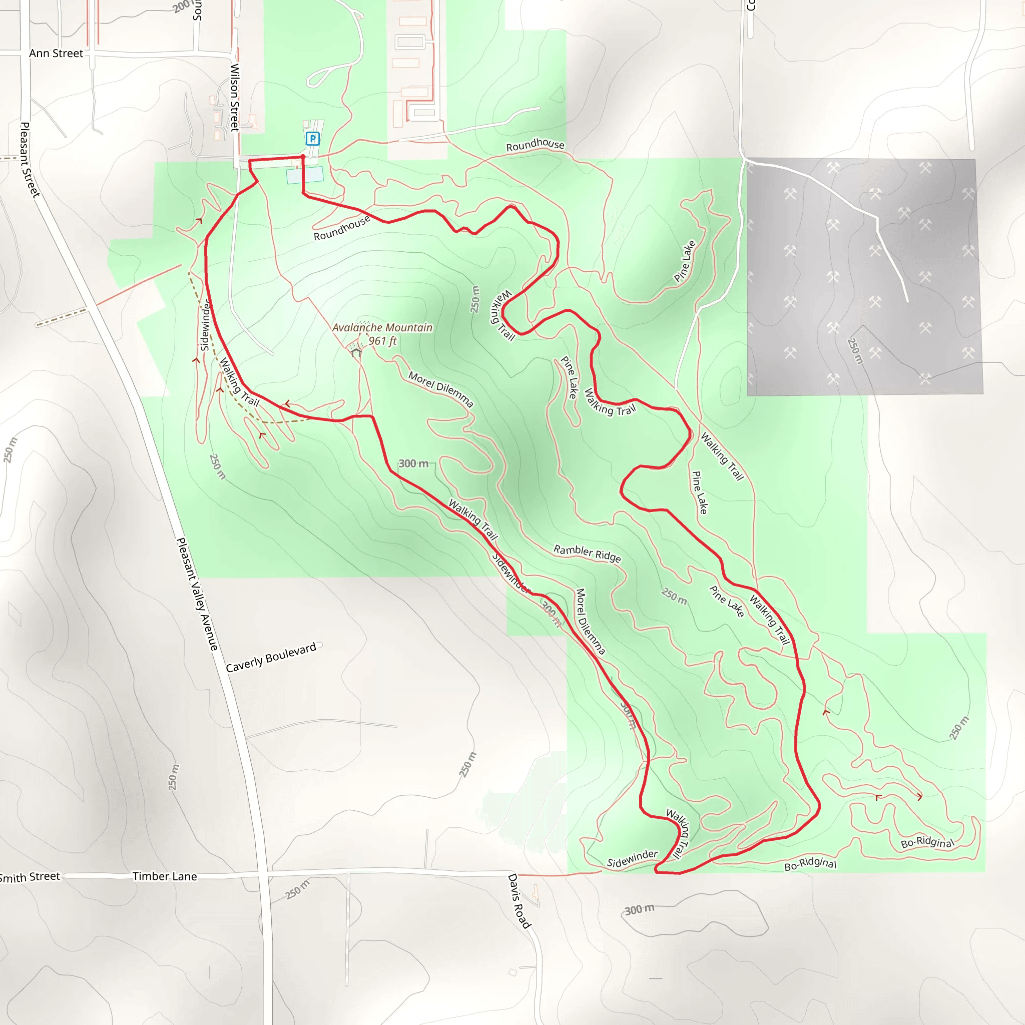 Avalanche Mountain Loop mobile static map