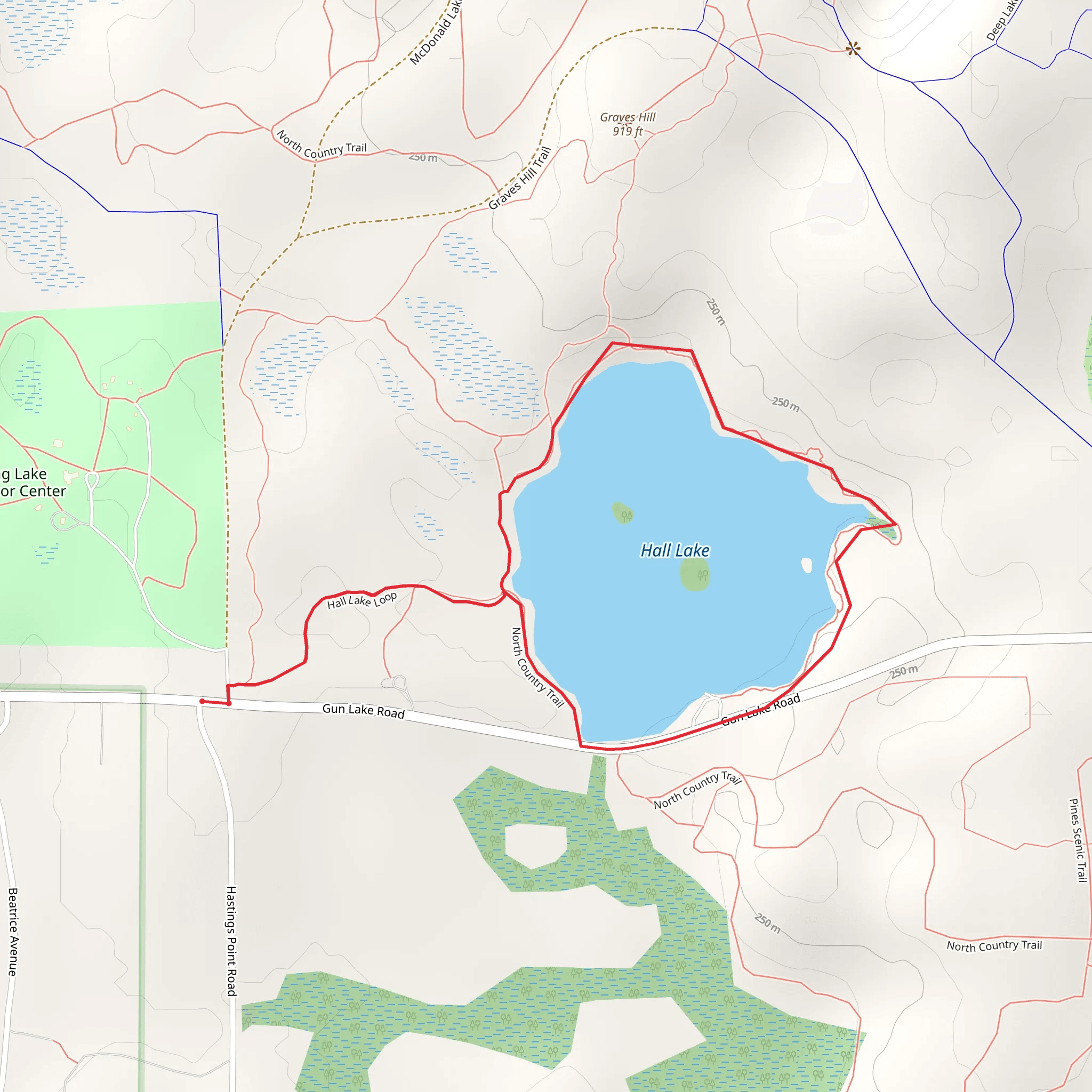Hall Lake Loop via North Country Trail mobile static map