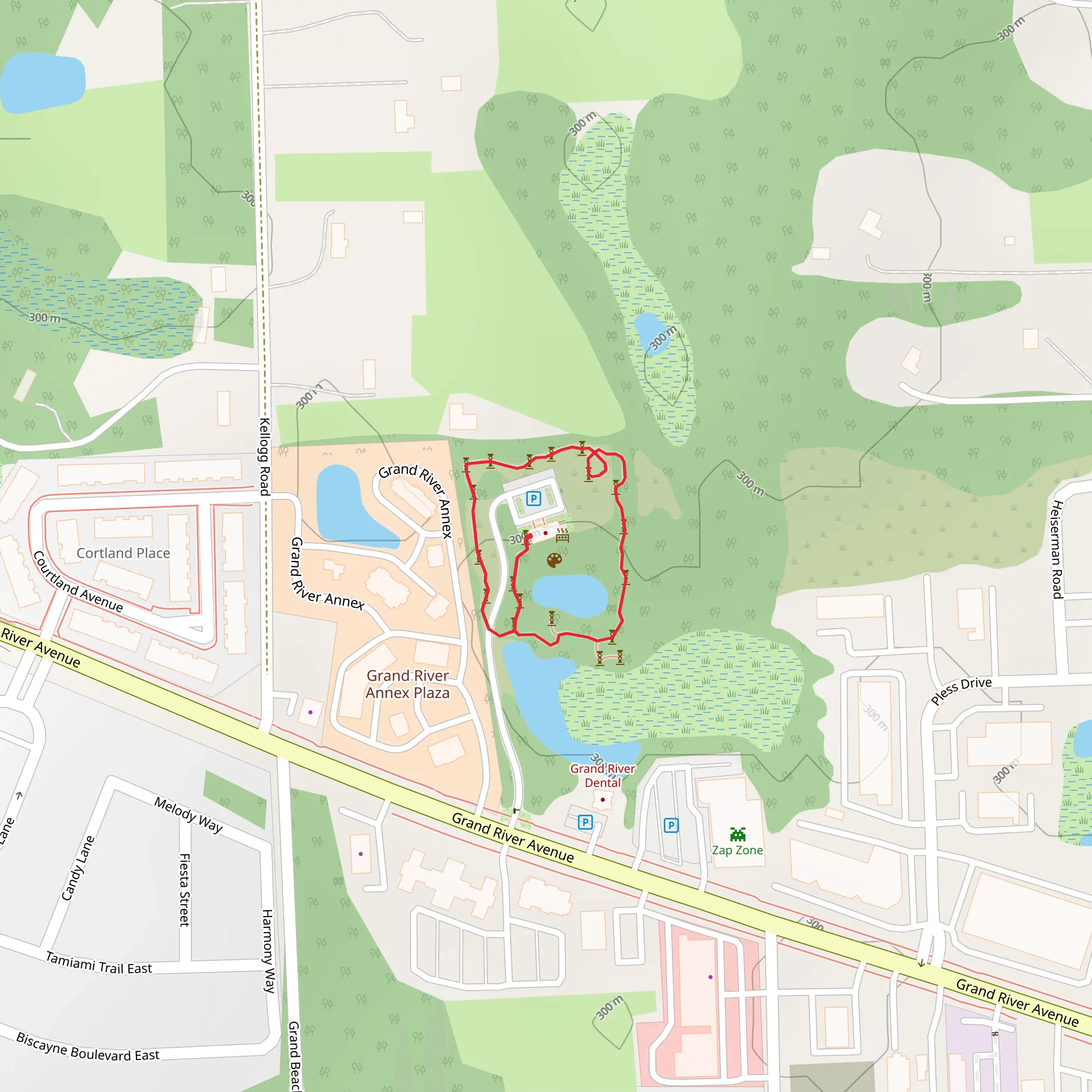 Grand River Annex Loop mobile static map